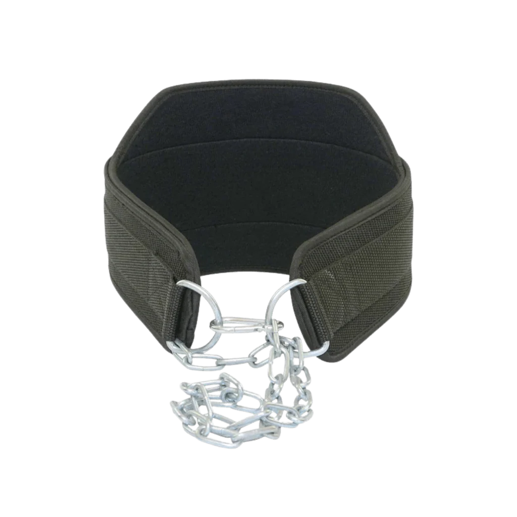 Dip Belt - Image 3